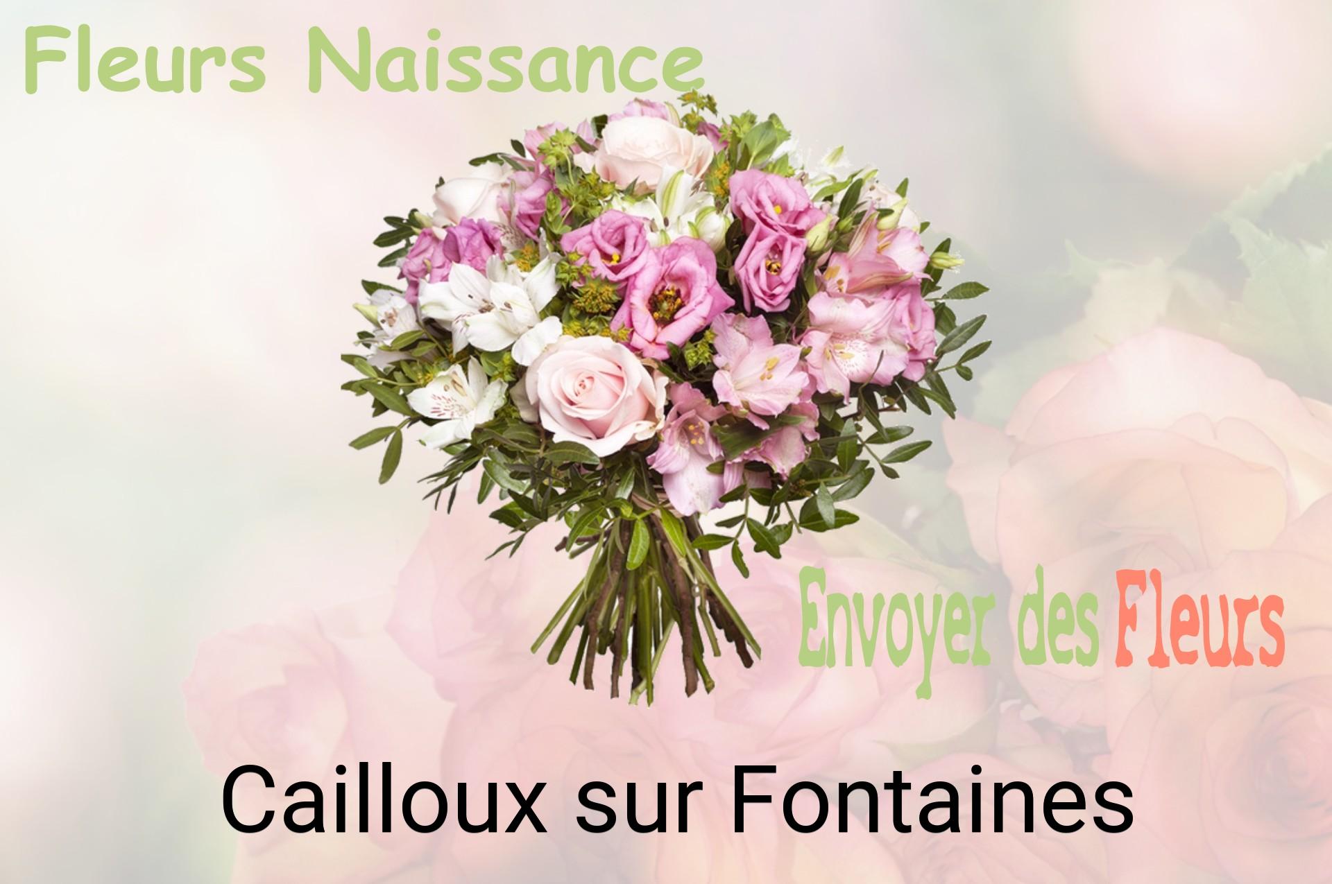 Bouquet de fleurs de naissance livré à Cailloux-sur-Fontaines
