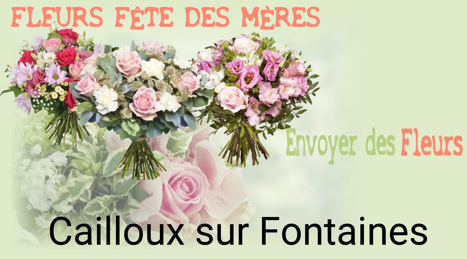 Bouquet de Fête des Mères livré à Cailloux-sur-Fontaines
